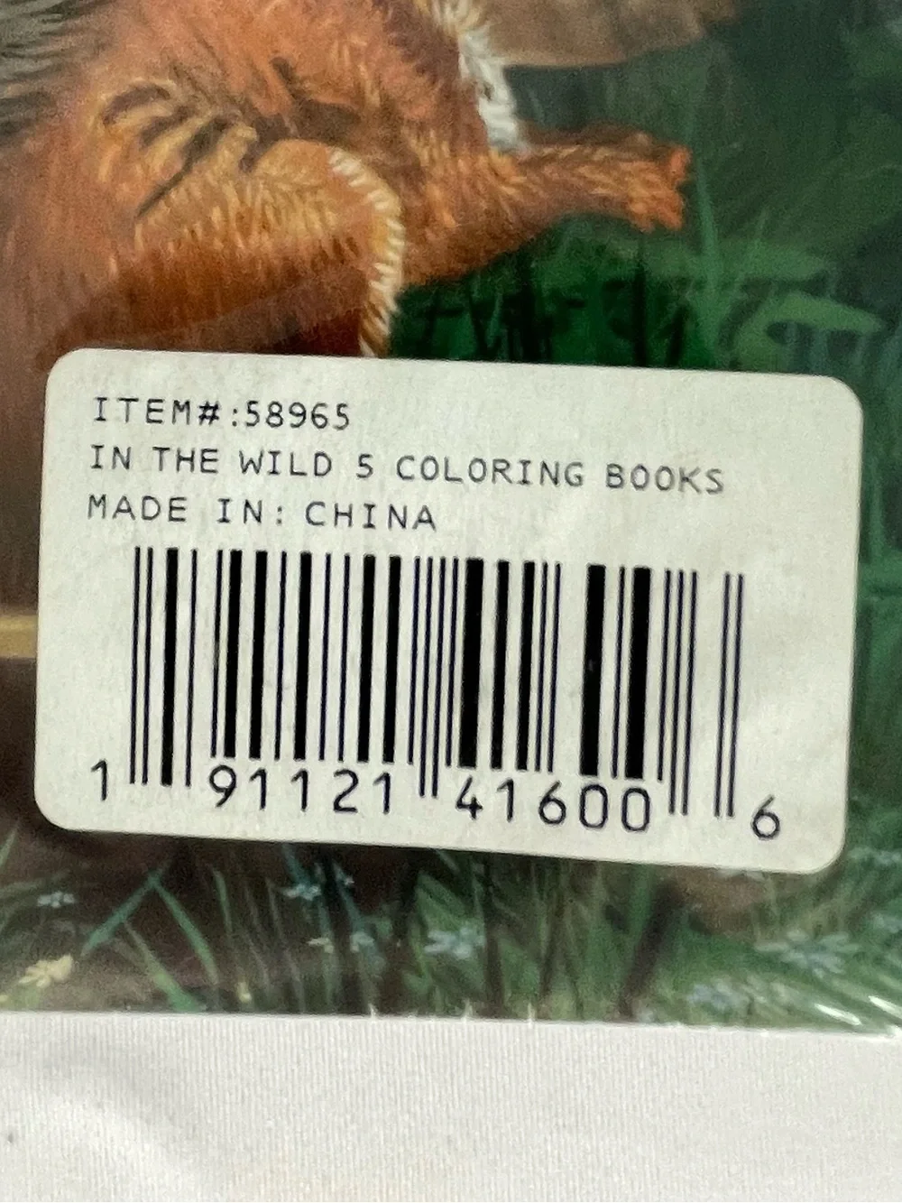 BNIB In The Wild Coloring Book